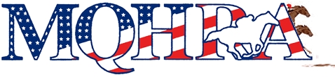 Minnesota QH logo